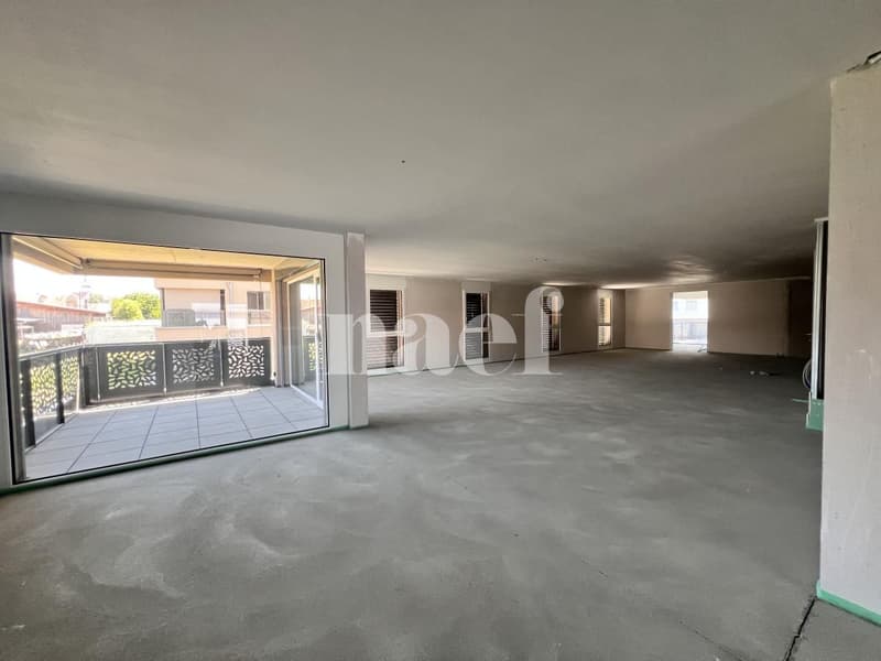 Surface commerciale modulable à partir de 57 m2 en état brut au premier étage ! (1)