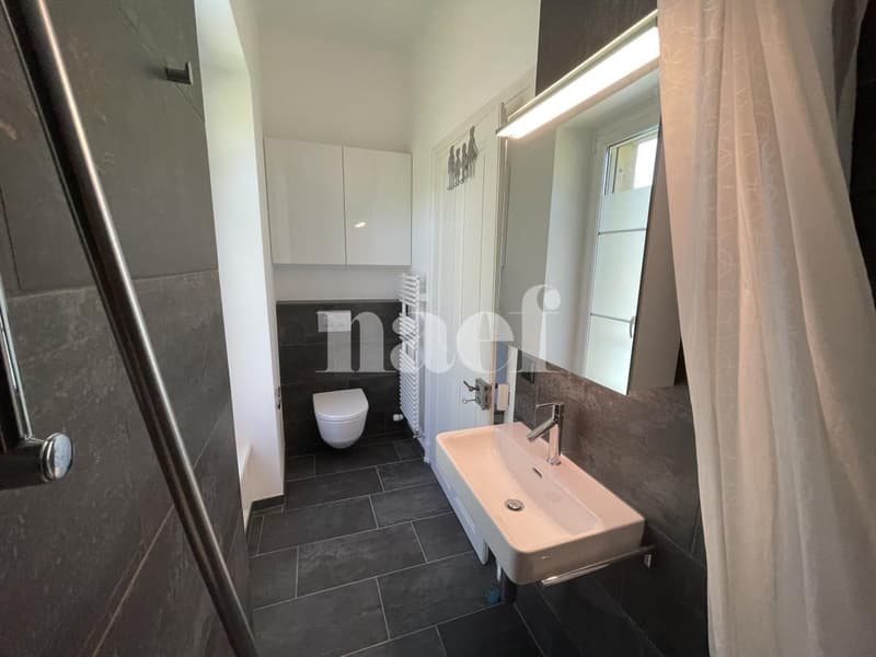 Magnifique appartement de 4.5 pièces dans un château à Villars-sur-Glâne ! (5)