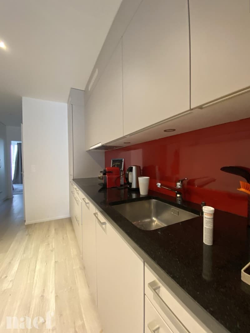 Appartement de 2,5 pièces au 3 ème étage, en pleine rue piétonne (2)