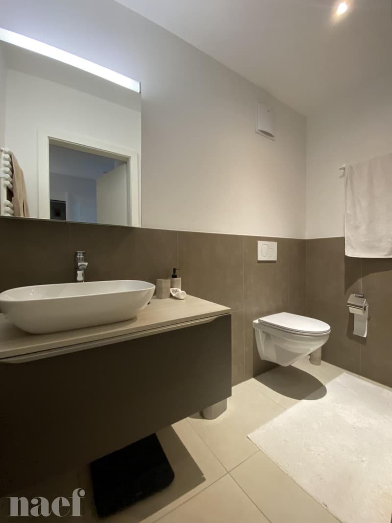 Appartement de 2,5 pièces au 3 ème étage, en pleine rue piétonne (9)
