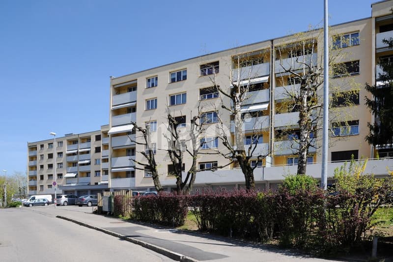 Appartement de 5 pièces au 4ème à louer à Fribourg (1)