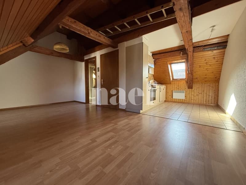 À louer : Studio meublé à Bulle (2)