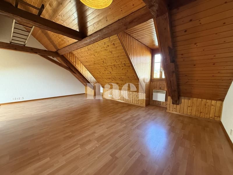 À louer : Studio meublé à Bulle (4)