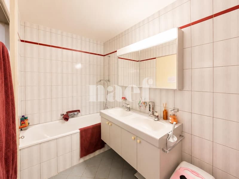 Bulle, appartement lumineux à louer ! (6)