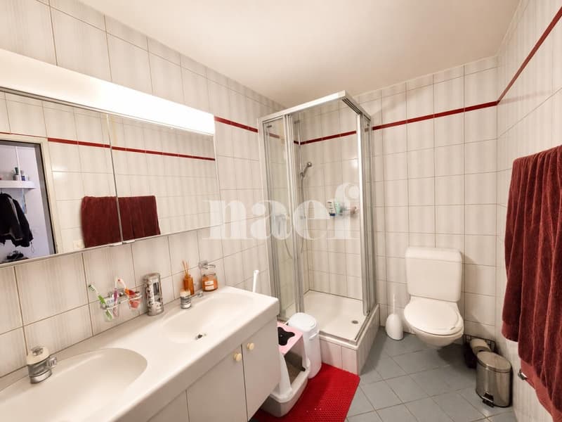 Bulle, appartement lumineux à louer ! (7)