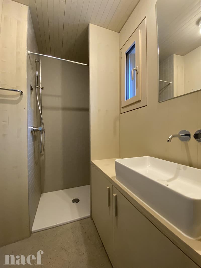 Logement de 3.5 pièces en duplex avec une petite terrasse (3)