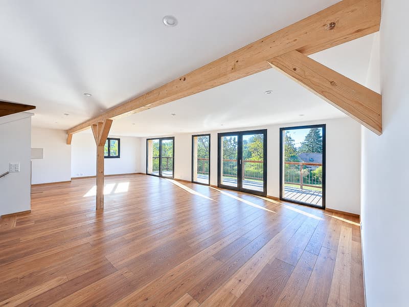 Spacieuse maison rénovée de 9 pièces (3)