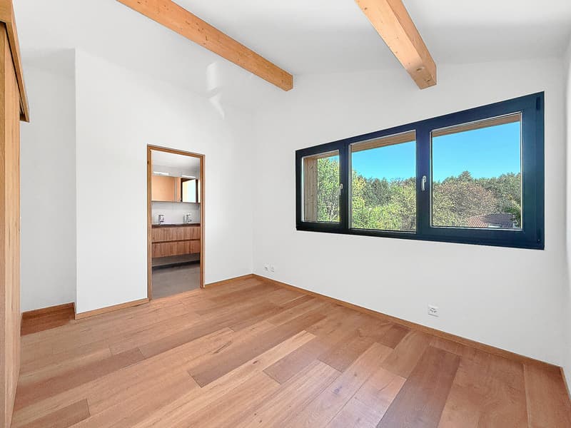 Spacieuse maison rénovée de 9 pièces (12)