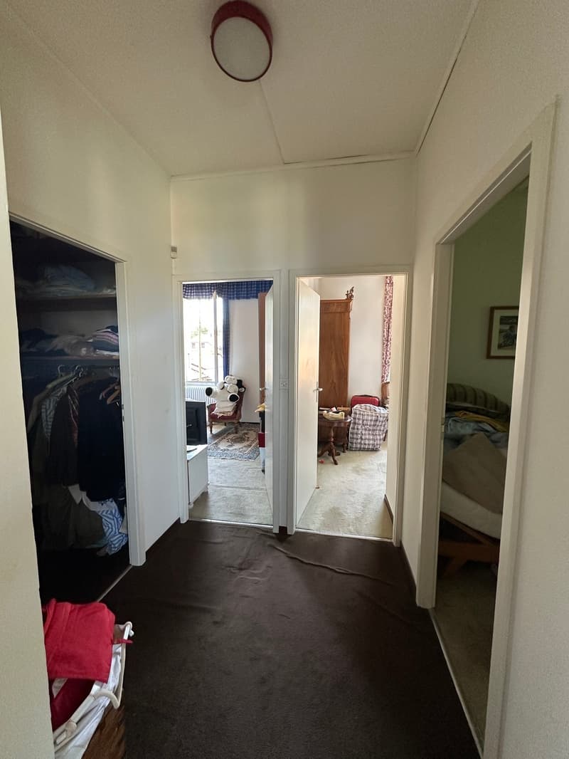 Maison individuelle à rénover - Fort potentiel à Plan-les-Ouates (7)