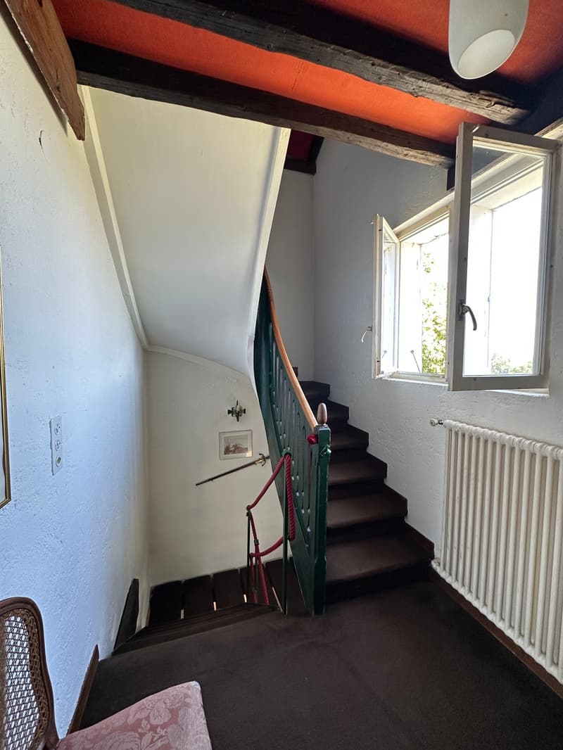 Maison individuelle à rénover - Fort potentiel à Plan-les-Ouates (6)