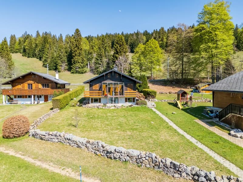 Chalet 3.5 rooms - La Cure/St-Cergue (2)
