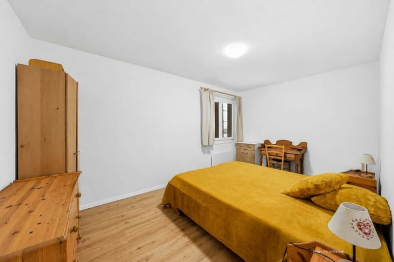 Charming 66m2 apartment, completely renovated with taste (8)