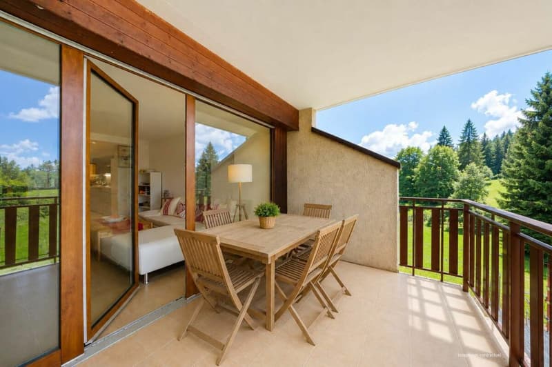 Charming 66m2 apartment, completely renovated with taste (7)