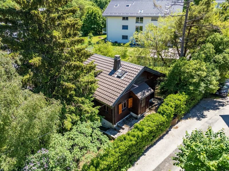 Ein individuelles und authentisches Chalet zur Neuerfindung (2)