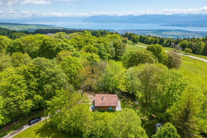 The chalet you've been dreaming of (12)