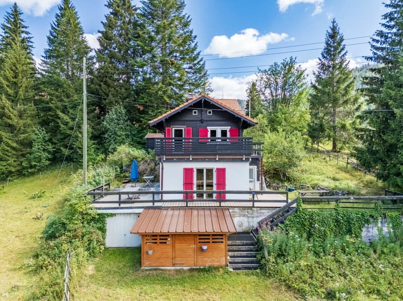 Un chalet dove natura, calma e autenticità si incontrano. (1)