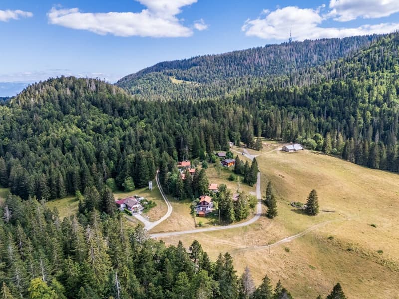 Un chalet dove natura, calma e autenticità si incontrano. (12)
