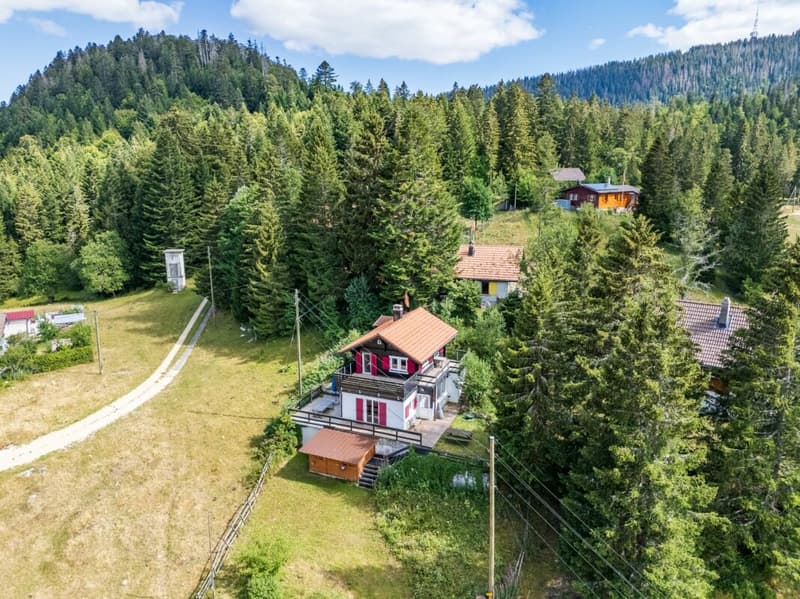 Un chalet dove natura, calma e autenticità si incontrano. (3)