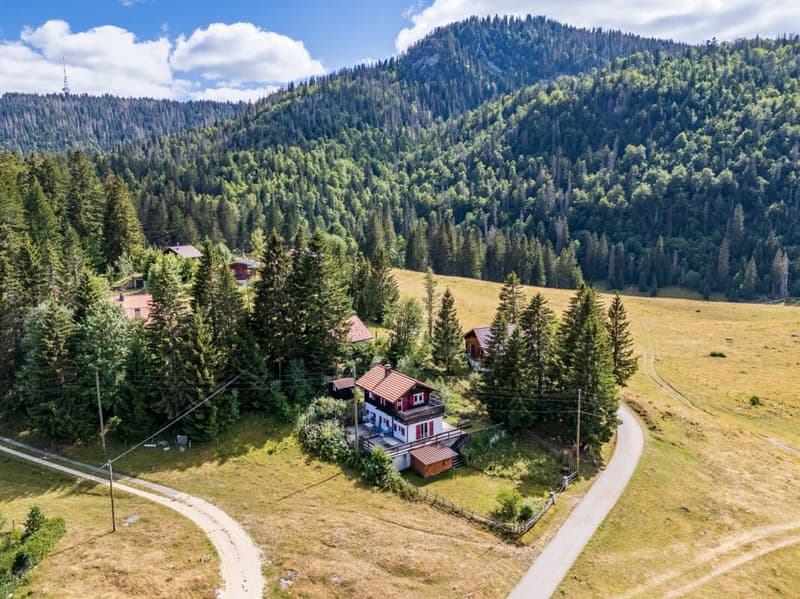 Un chalet dove natura, calma e autenticità si incontrano. (2)