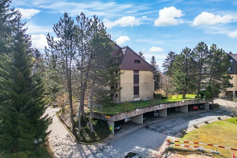 Superbe duplex baigné de lumière (13)