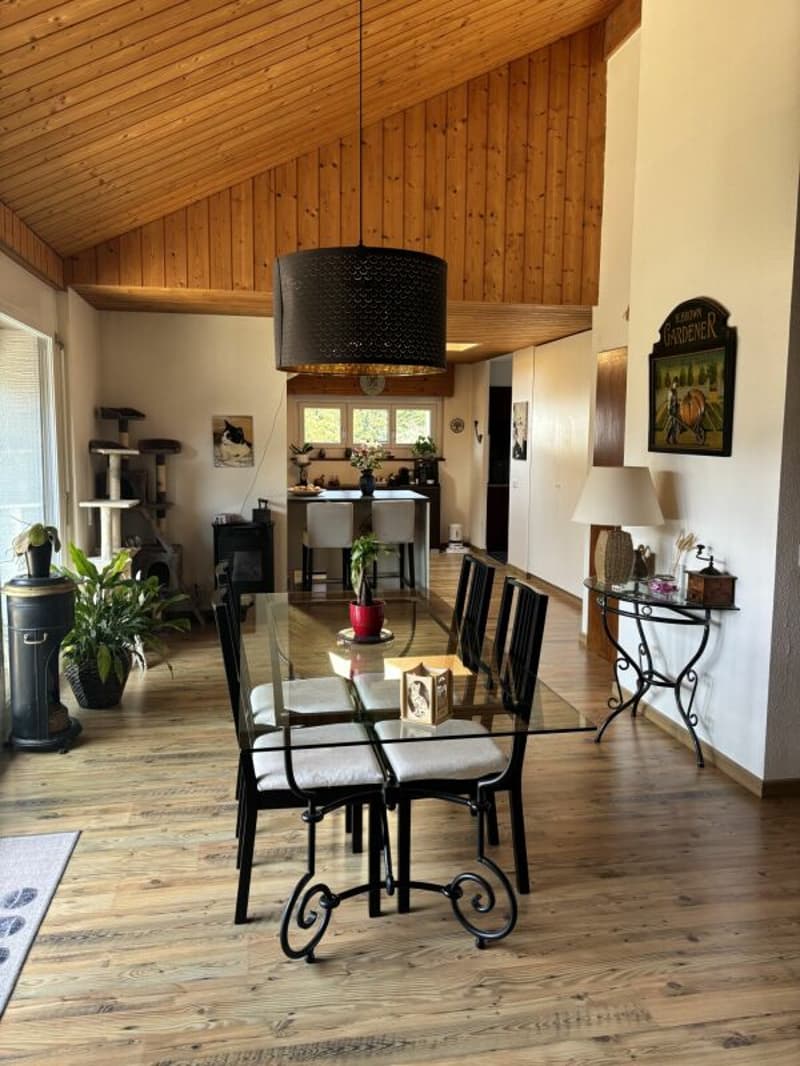 Duplex de 140 m² en dernier étage avec 3 chambres, terrasse et forêt (3)