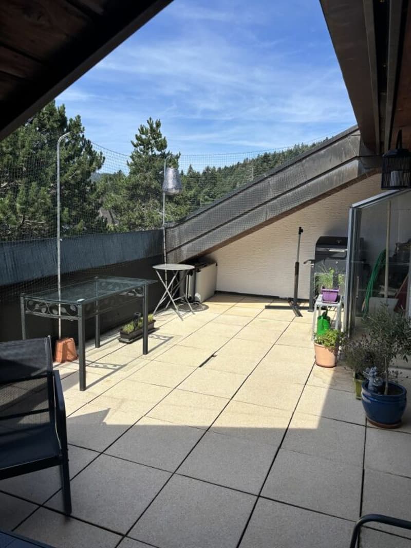 Duplex de 140 m² en dernier étage avec 3 chambres, terrasse et forêt (7)
