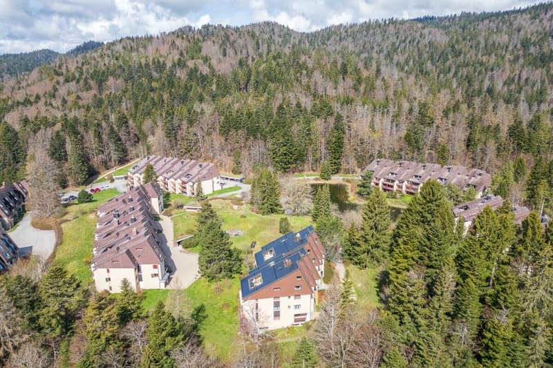 Duplex de 140 m² en dernier étage avec 3 chambres, terrasse et forêt (13)