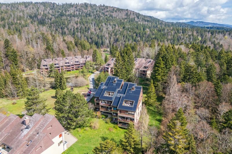 Duplex de 140 m² en dernier étage avec 3 chambres, terrasse et forêt (12)