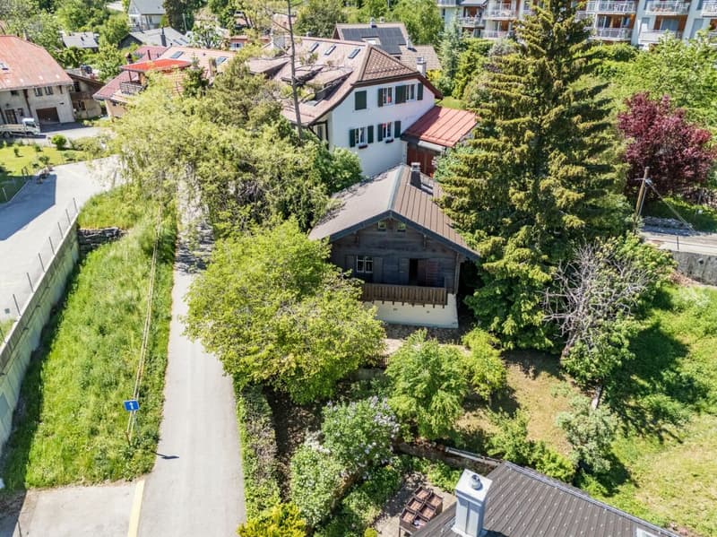 Une belle opportunité de rénovation au coeur de Saint-Cergue (5)
