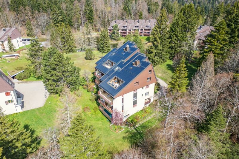 Duplex de 140 m² en dernier étage avec 3 chambres, terrasse et forêt (4)