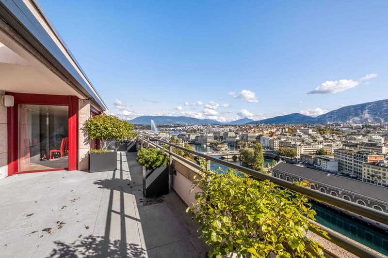 Une magnifique vue dégagée sur le lac et les montagnes depuis la terrasse