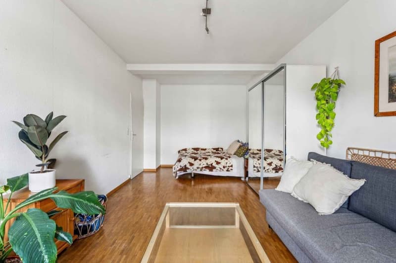 Exclusive: Geneva - La Jonction 2-room apartment (4)