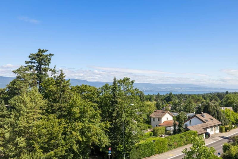 la vue depuis la chambre parentale