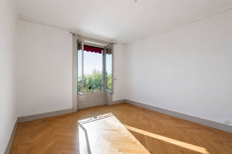 Appartement lumineux de 5.5 pièces à Genève, Rue de Lausanne (4)