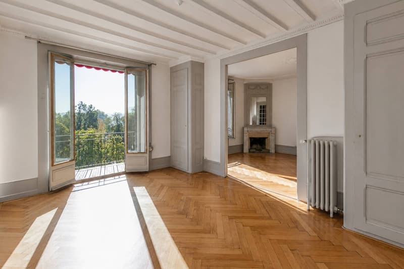 Appartement lumineux de 5.5 pièces à Genève, Rue de Lausanne (6)
