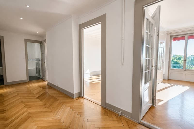 Appartement lumineux de 5.5 pièces à Genève, Rue de Lausanne (8)