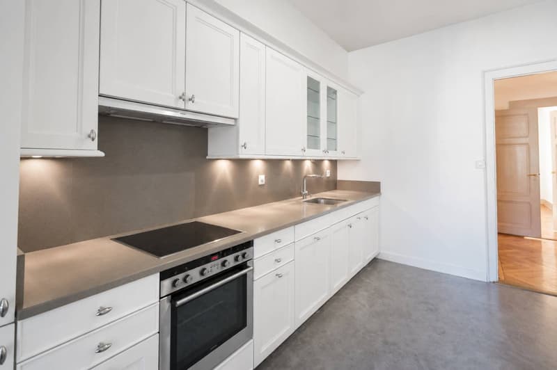 Appartement lumineux de 5.5 pièces à Genève, Rue de Lausanne (10)