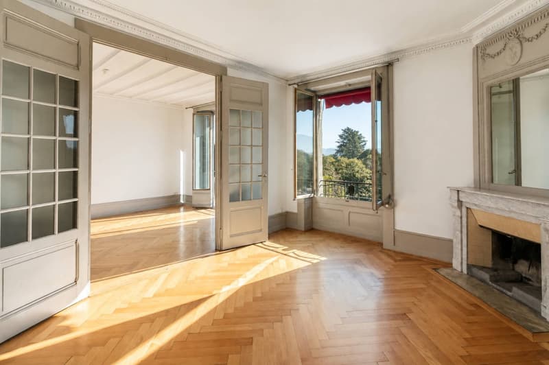 Appartement lumineux de 5.5 pièces à Genève, Rue de Lausanne (7)