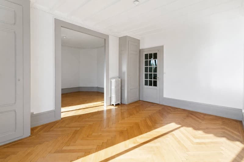 Appartement lumineux de 5.5 pièces à Genève, Rue de Lausanne (3)