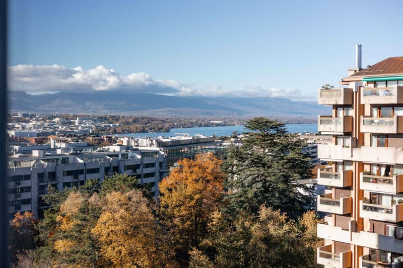 Genève (2)