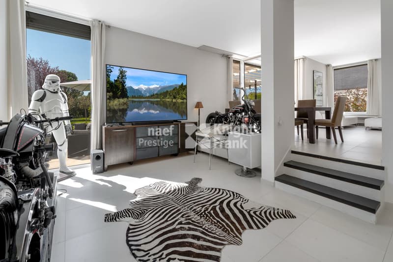 Contemporary villa in the Geneva countryside (5)