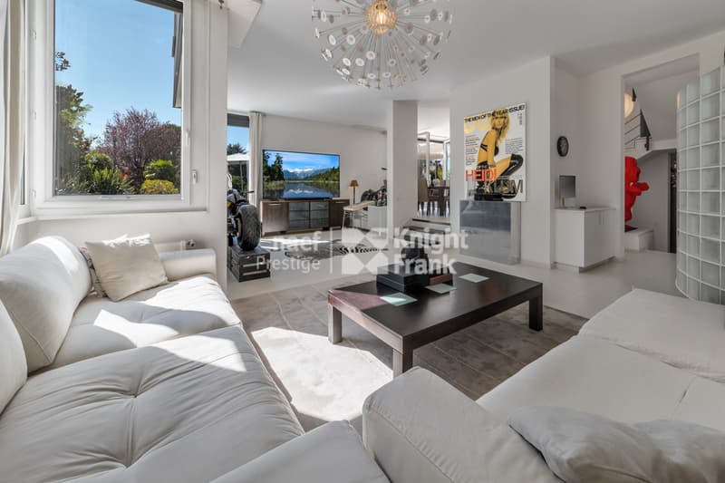 Contemporary villa in the Geneva countryside (3)