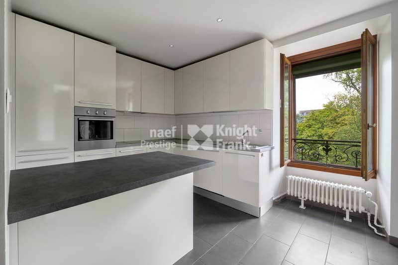 Rare: renovated mansion, 3 apartments or family villa (8)