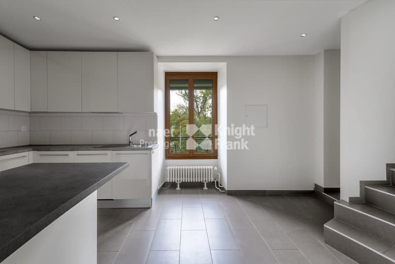 Rare: renovated mansion, 3 apartments or family villa (9)