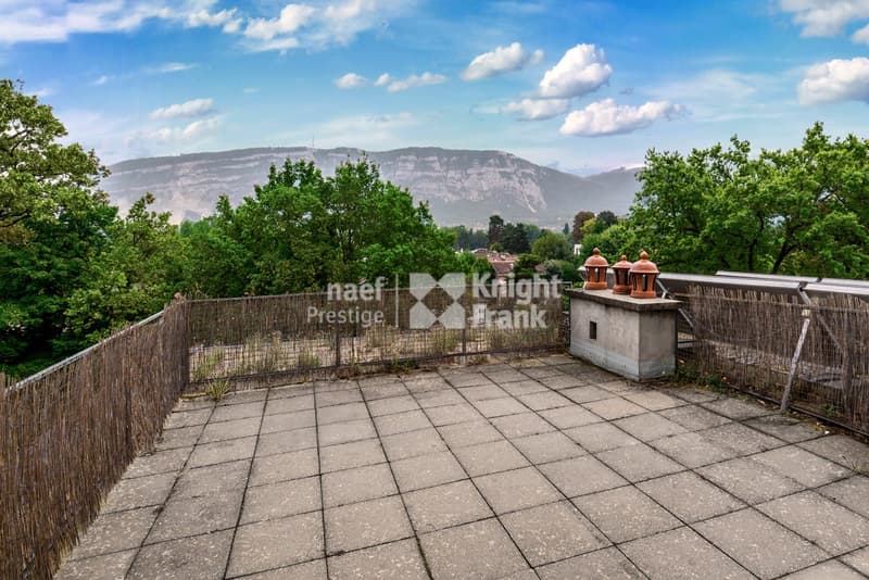 Rare: renovated mansion, 3 apartments or family villa (11)