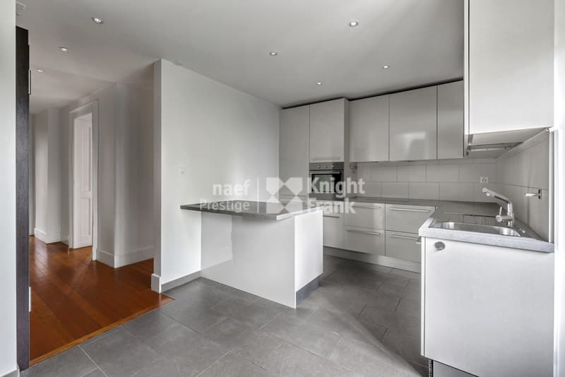 Rare: renovated mansion, 3 apartments or family villa (7)