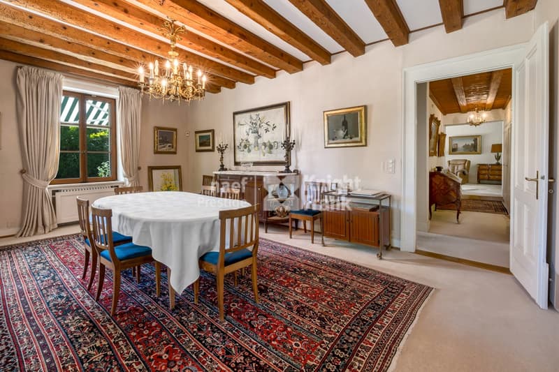 Elegance and serenity in the heart of Vandoeuvres (4)