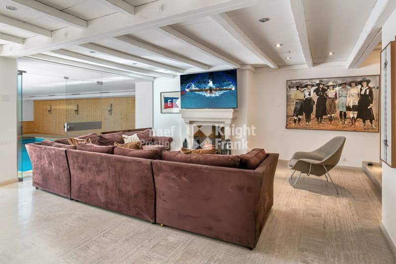 Beautiful property in Collonge-Bellerive (10)
