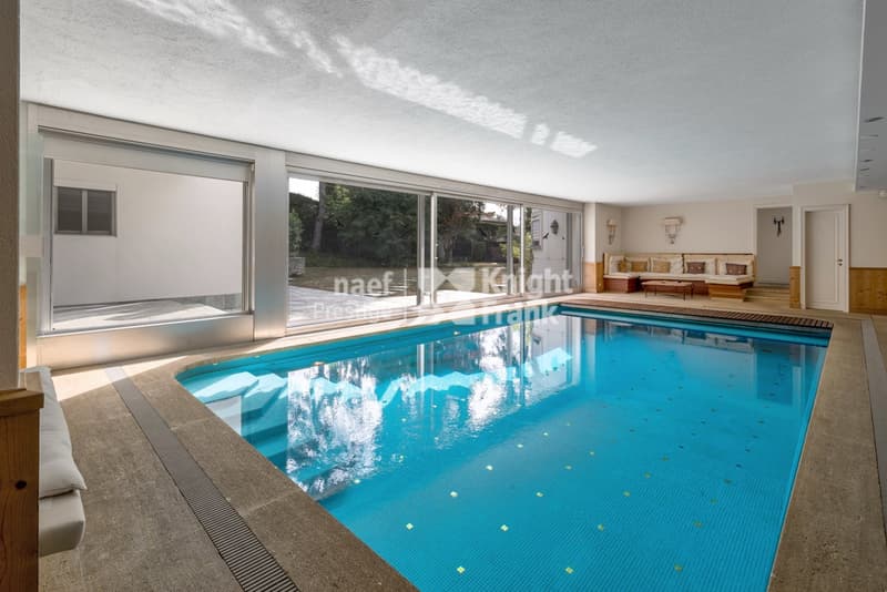 Beautiful property in Collonge-Bellerive (9)