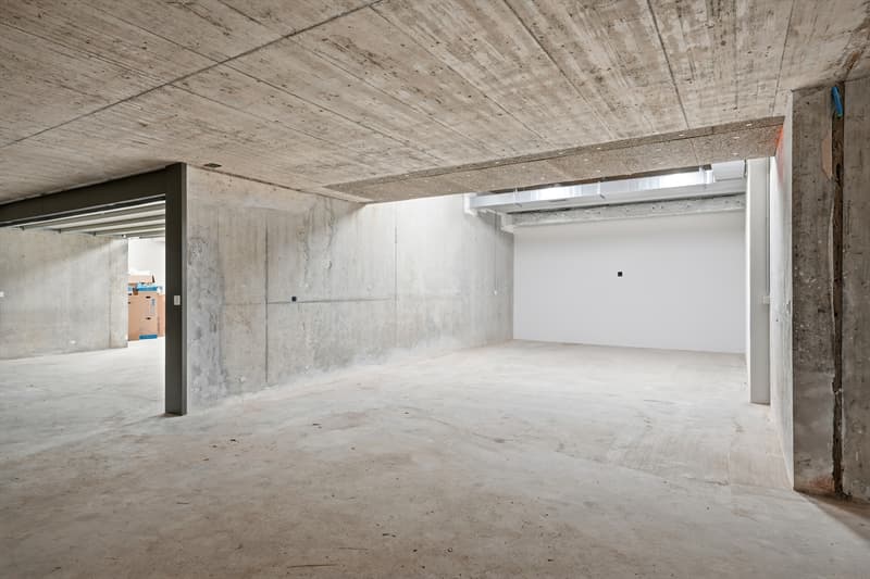 Villa Verde | Geneva City Center (13)